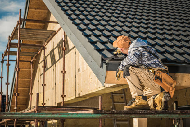 Best Roof Leak Repair  in Dover, FL