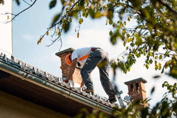 Best Roof Gutter Cleaning  in Dover, FL