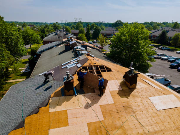Quick and Trustworthy Emergency Roof Repair Services in Dover, FL