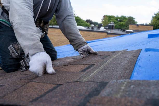 Roof Gutter Cleaning in Dover, FL