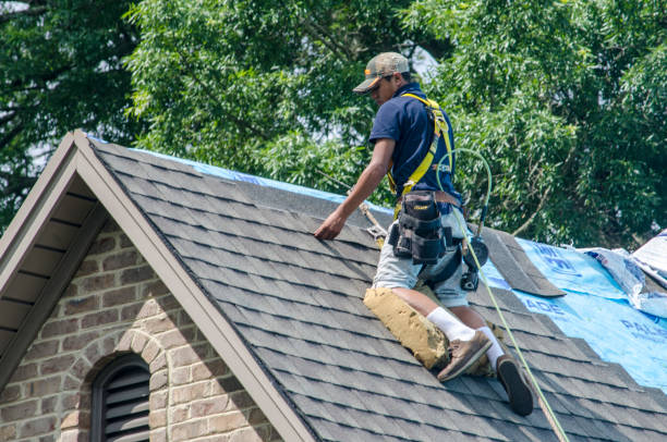 Best Roof Waterproofing Services  in Dover, FL